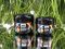 Гель прозорий Hard gel Clear від Kira Nails