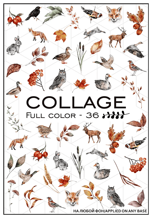 Слайдер-дизайн Collage FC-36
