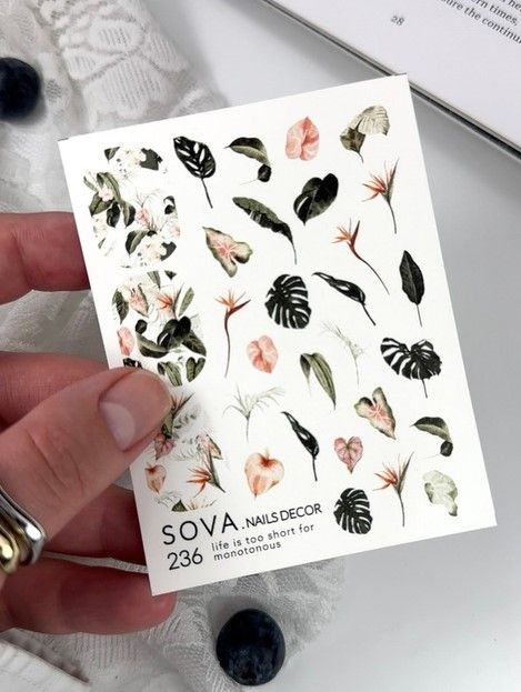 Слайдер Sova Decor 236