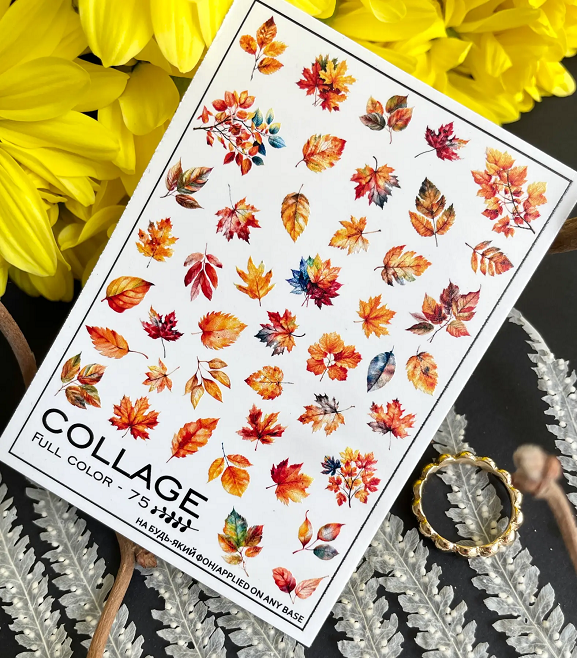 Слайдер-дизайн водний Collage FC-75