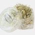 Komilfo Foil Stripes №09 Champagne Silver, (0,2 г)