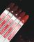 Светоотражающий Disсo Gel Moon Full Red Flashing  RF09, 8 мл