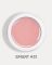 Гель Dark Smart Builder gel 31, 22мл