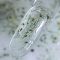 Прозорий будівельний гель з сухими квіточками NAILSOFTHEDAY Build gel Flower 01 15мл