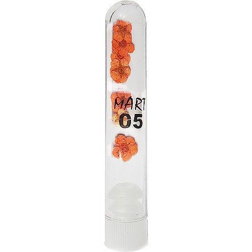 Сухоцвет Mart 05 оранжевый