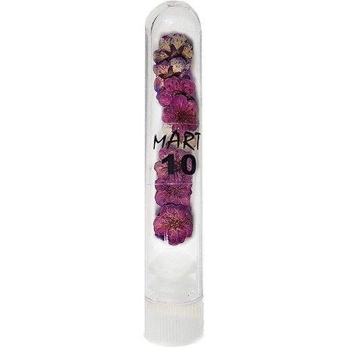 Сухоцвет Mart 10 лиловый
